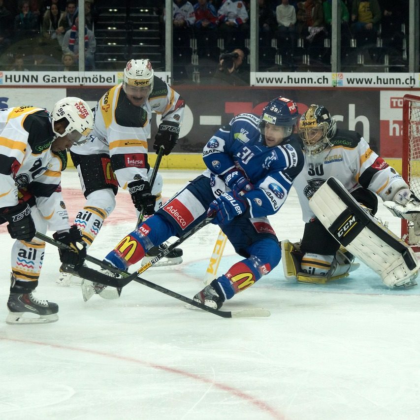 hockey, ice hockey, winter sports, team, stadium, sports, ice sports, players, foul, hockey, hockey, hockey, ice hockey, ice hockey, ice hockey, ice hockey, ice hockey